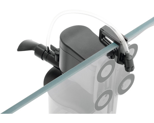 Aquarienfilter zur Reinigung des Wassers