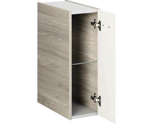Armoire suspendue avec une porte, ouverte avec une étagère en verre