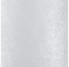 Gutta Glaseinsatz LAG3 / LA-HD Polystyrolglas 5.0 Chinchilla Klar 53,5x142 cm-thumb-0