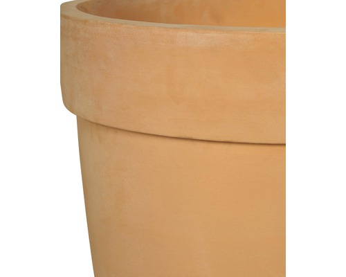 Gros plan d''un pot de fleurs en terre cuite