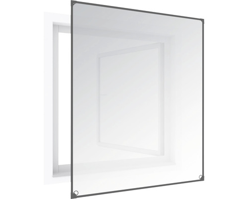 Fliegengitter vor einem Fenster