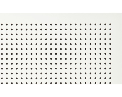 Lochplatte für Werkstatt