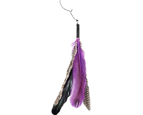 Jouet pour chat canne à pêche à plumes avec plumes