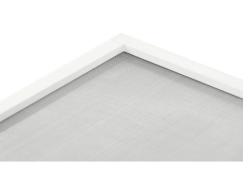 Detailansicht eines Insektenschutzfensters mit Rahmen