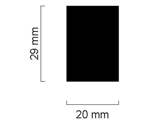 Illustration d''une forme rectangulaire mesurant 29 mm x 20 mm.