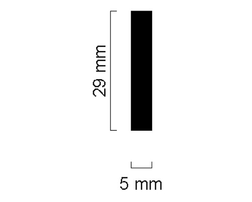 Dimensions : 29 mm de haut et 5 mm de large