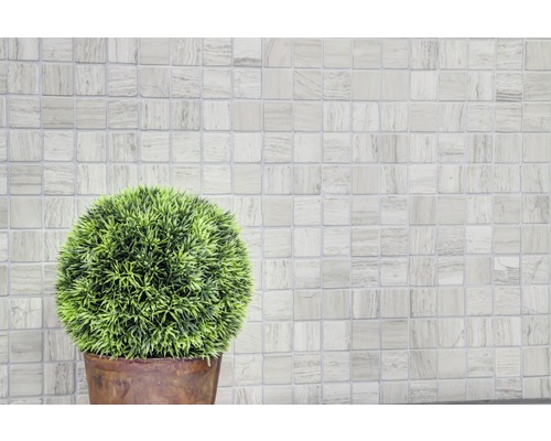 Scène avec des carreaux de mosaïque et une plante en pot