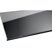 Paroi latérale pour porte pivotante Breuer Panorama 80 cm en verre décoratif gris, profilé couleur noire-thumb-5