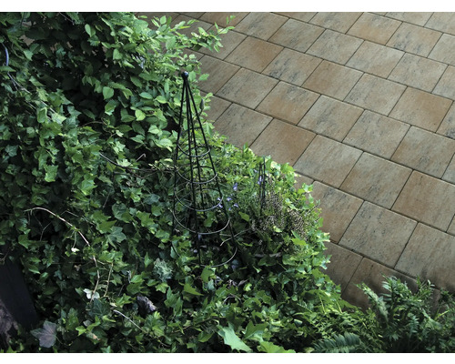 Gartenweg aus Pflastersteinen neben Grünpflanzen mit Rankhilfe