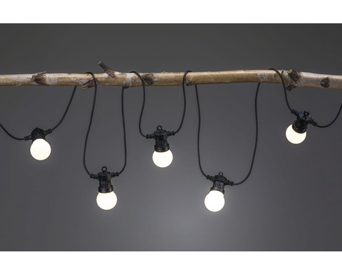 Guirlande lumineuse avec ampoules sur une branche