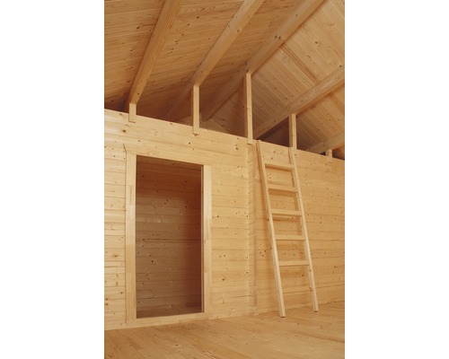 Vue intérieure d''une maison en bois avec échelle et ouverture de porte