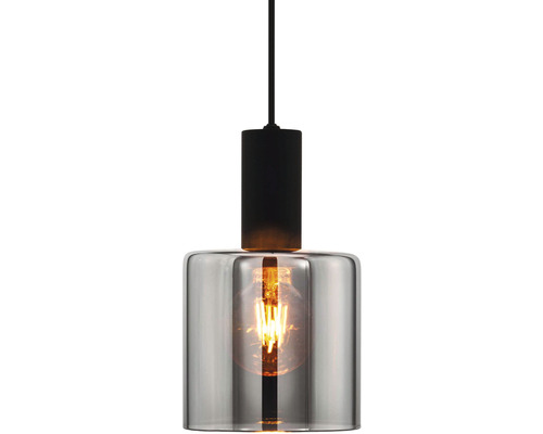 Hängelampe mit Glasschirm und Leuchtmittel