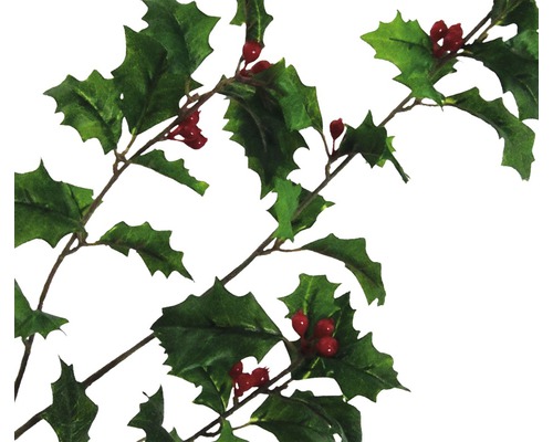 Stechpalmen Girlande mit Blättern und Beeren als Weihnachtsdekoration