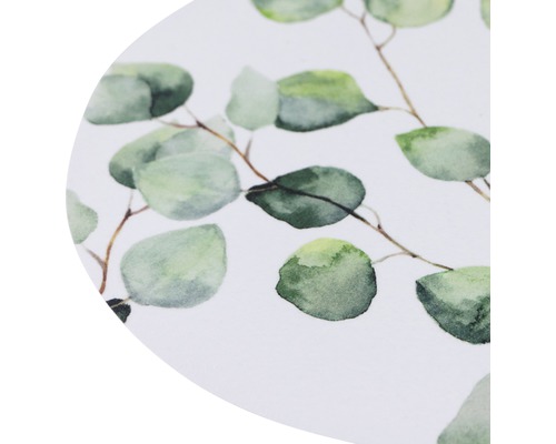 Motif feuilles d''eucalyptus