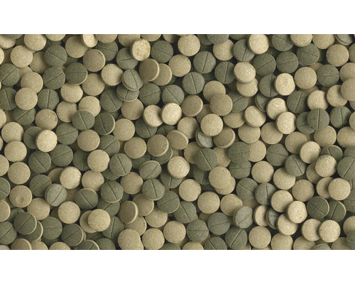 Viele runde Fischfuttertabletten