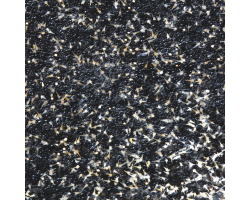 Aufzucht von Artemia Nauplien