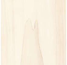 Panneau décoratif Quadro Plus Alaska bouleau 12x200x1200 mm