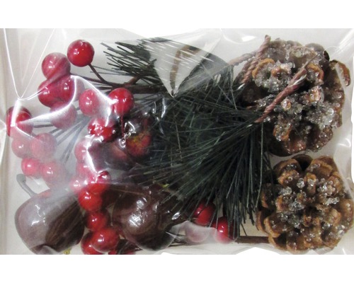 Décoration avec des baies rouges, des branches de sapin et des pommes de pin