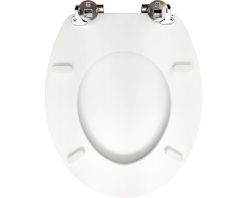 Toilettendeckel mit Chrombeschlägen