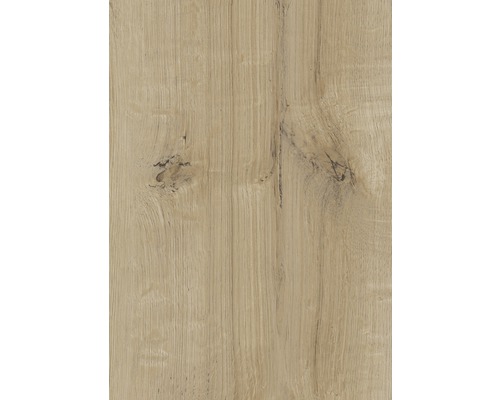 Gros plan d''une surface en bois avec grain