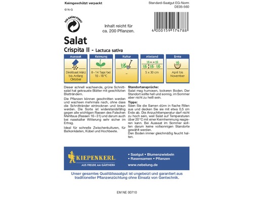 Semences de laitue de la variété Crispita II, Lactuca sativa