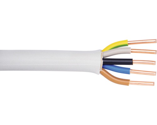 Câble électrique sous gaine NYM-J 5x10 mm² gris 5 m
