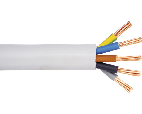 Câble électrique sous gaine NYM-J 5x16 mm² gris 2 m Câble électrique avec toron à cinq conducteurs