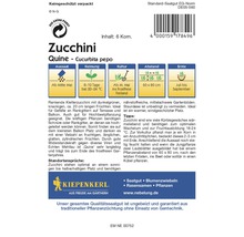 Zucchinisamen der Sorte Quine