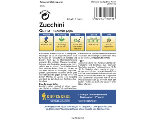 Graines de courgettes de la variété Quine