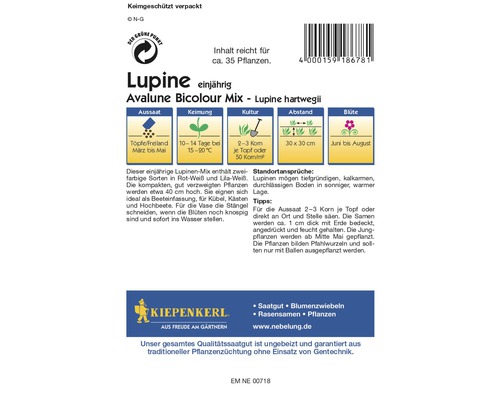 Sachet de graines de lupin annuel Avalune Bicolour Mix - Lupine hartwegii avec des informations sur le semis, la germination, la culture, l''espacement et la floraison