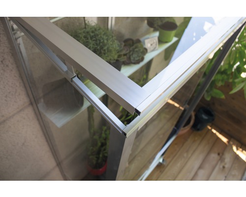 Detailansicht eines Gewächshauses mit Aluminiumrahmen und Pflanzen