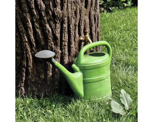 Grüne Gießkanne neben Baum mit Wasserhahn