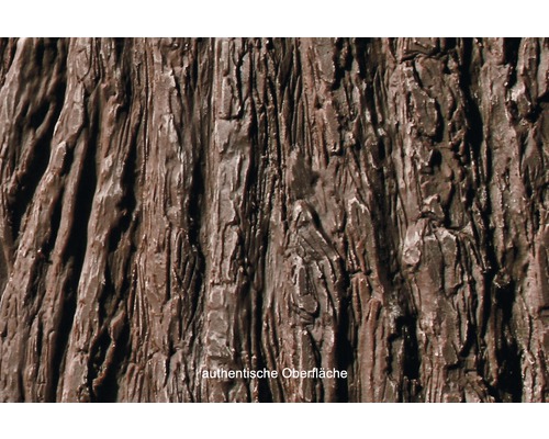 Detailaufnahme einer Oberfläche mit Baumrindenstruktur