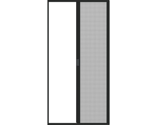 Schiebetür mit Insektenschutzgitter