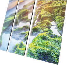 Tableau mural en plusieurs parties représentant un paysage avec des rochers et des plantes