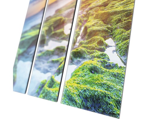 Tableau mural en plusieurs parties représentant un paysage avec des rochers et des plantes