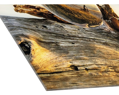 Photo sur verre acrylique avec bois et boule de verre