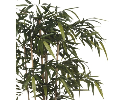 Bambou artificiel avec des feuilles vertes