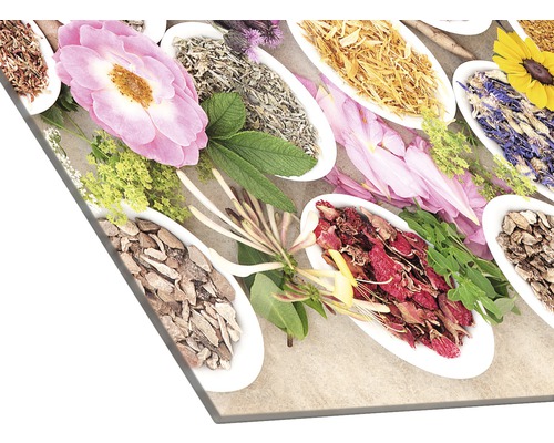 Gros plan d''herbes et de fleurs dans des coupelles blanches
