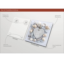 Tableau en verre avec motif de coquillages, support mural inclus