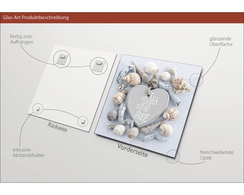 Tableau en verre avec motif de coquillages, support mural inclus