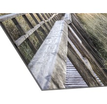 Impression photo d''une passerelle en bois avec une rampe dans l''herbe