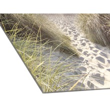 Image en verre acrylique d''un paysage de dunes avec de l''herbe et du sable