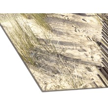 Panneau décoratif avec motif de dunes de sable et d''oyat