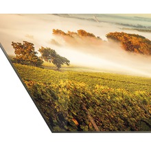Image murale décorative avec paysage de vignoble dans le brouillard
