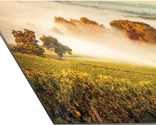 Image murale décorative avec paysage de vignoble dans le brouillard