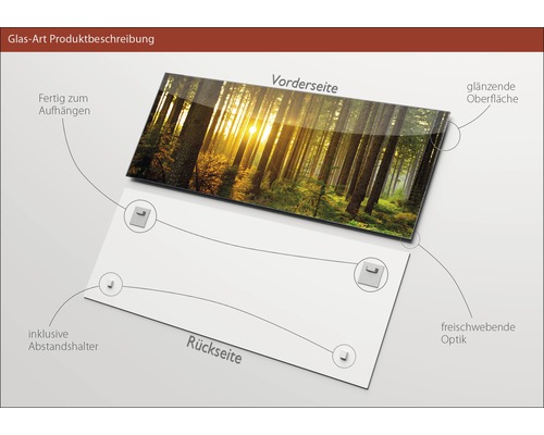 Tableau en verre avec motif de forêt, surface brillante et fixations