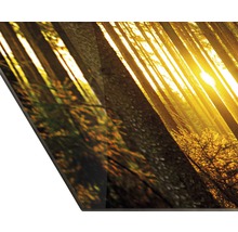 Panneau décoratif avec motif de forêt et soleil