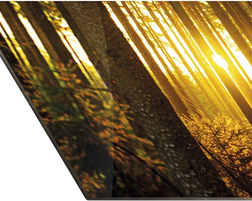 Panneau décoratif avec motif de forêt et soleil