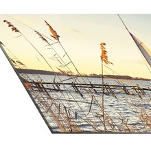 Dekoratives Wandbild mit Seemotiv und Schilfgras im Vordergrund